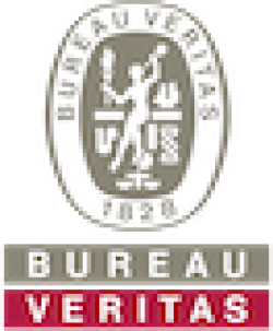 Logo Bureau Veritas